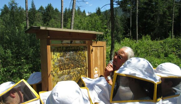 The honeybee in the cycle of nature