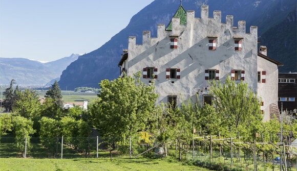 Visita alla cantina del Happacherhof