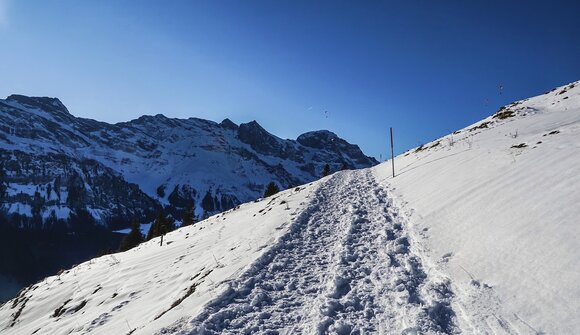 Schneeschuhwanderung in Pfelders