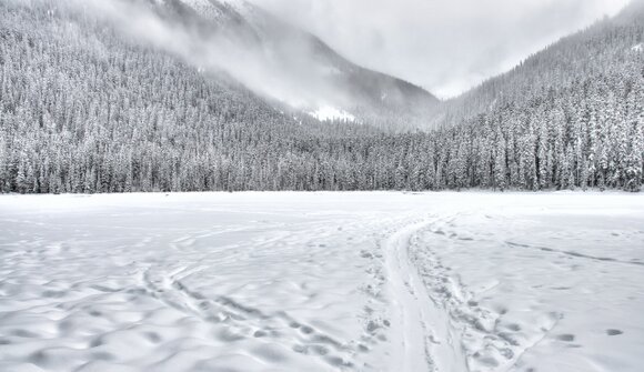 Winter Segway Filmtour