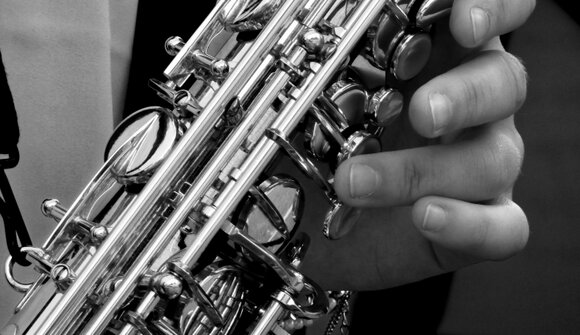 All that Music: Big Pulse Quartet