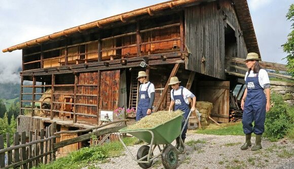 A day on a farm