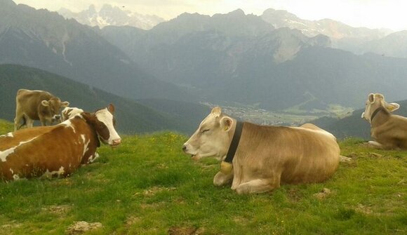 One day at the Bergalm