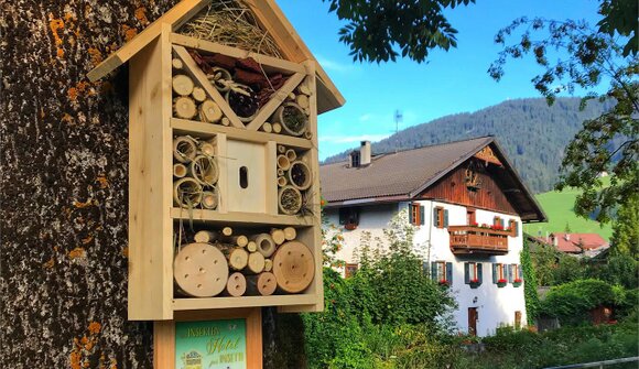 "Wir bauen ein Insektenhotel"