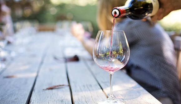 Weinbergführung mit Weinkost