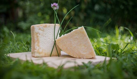 I segreti del formaggio grigio