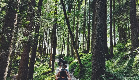 Escursione "Su vecchi sentieri"