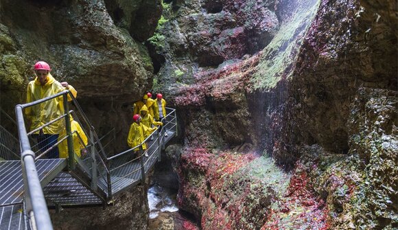 Visita guidata canyon Rio Sass