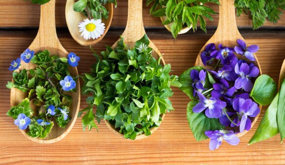 Powerfood, erbe della primavera