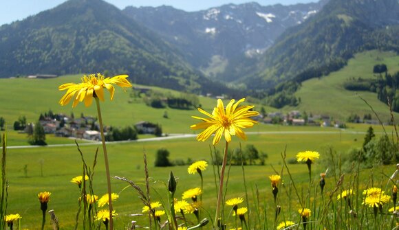 Dorfführung Kössen