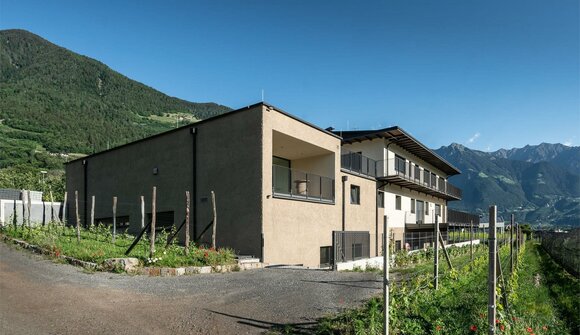 Attraverso i vigneti dall’enologa