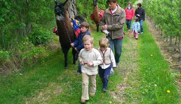 "Lama Trekking" for families