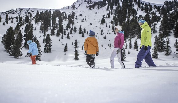 Winterwanderung  - Innerhofer Alm